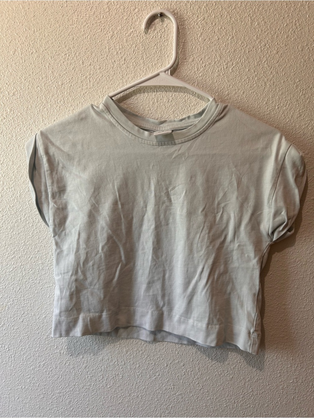 Zara Cropped Crewneck Tee
